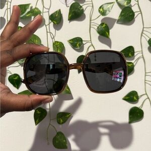 Dior Brown Tortoise Sunglasses